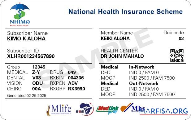 Realistic Zambia health insurance card download for verification